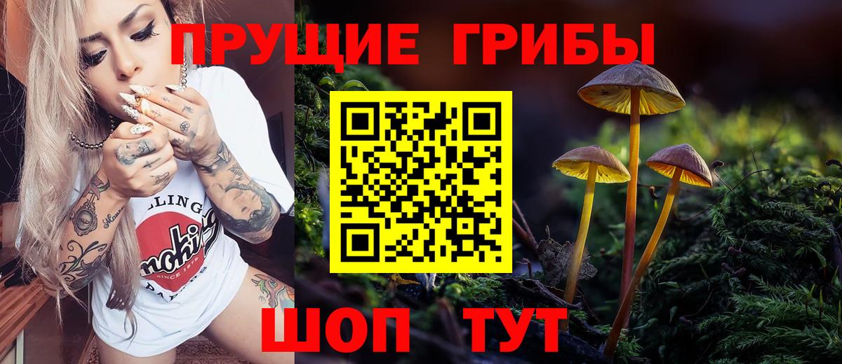 Псилоцибиновые грибы MAGIC MUSHROOMS  Псилоцибиновые грибы GOLDEN TEACHER  Вход с VPN  Новокуйбышевск 
